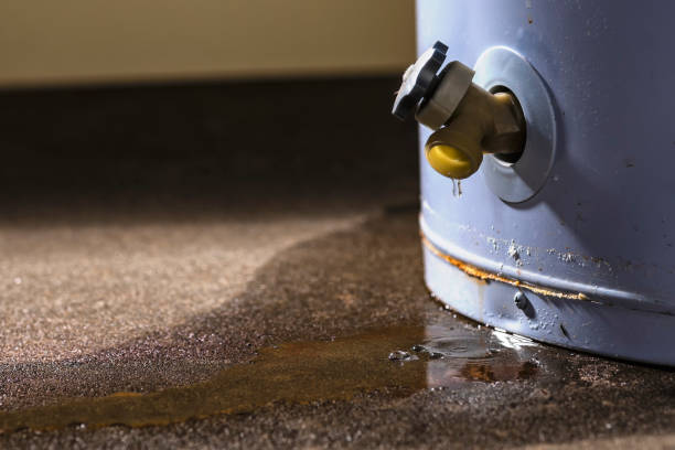 Best Ceiling water damage repair  in Kearney, MO
