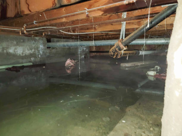 Best Water damage restoration near me  in Kearney, MO