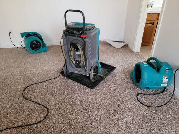 Professional Water damage restoration in Kearney, MO