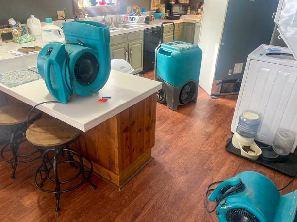 Best Residential water damage restoration  in Kearney, MO
