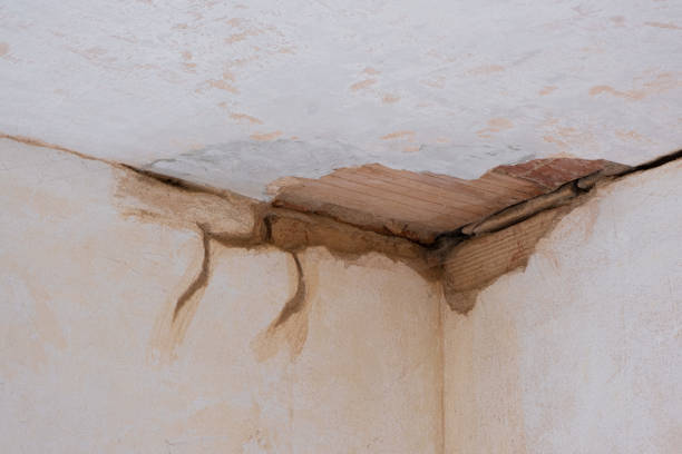 Best Fire Damage Restoration  in Kearney, MO