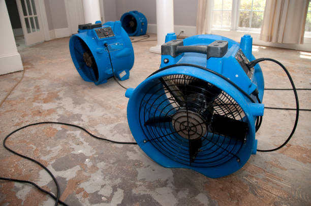 Best Sewage cleanup and water damage restoration  in Kearney, MO