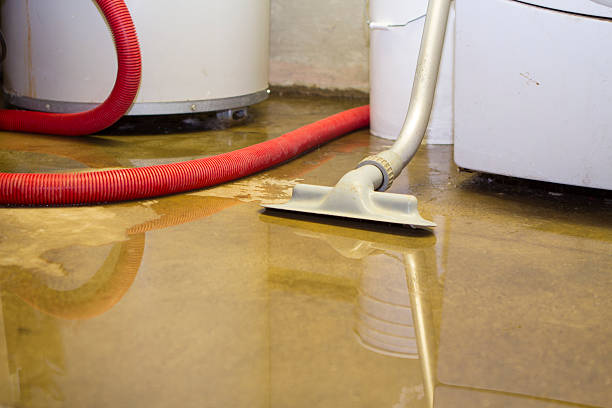 Best Commercial water damage restoration  in Kearney, MO