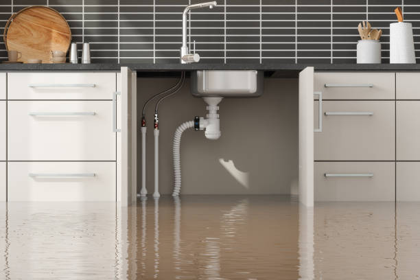 Best Flooded house restoration  in Kearney, MO