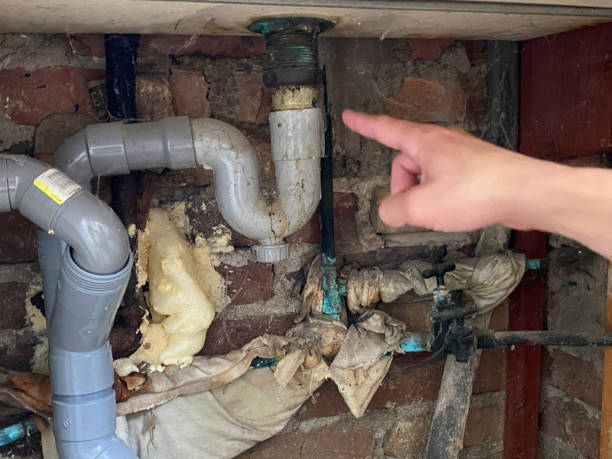 Best Water damage restoration near me  in Kearney, MO