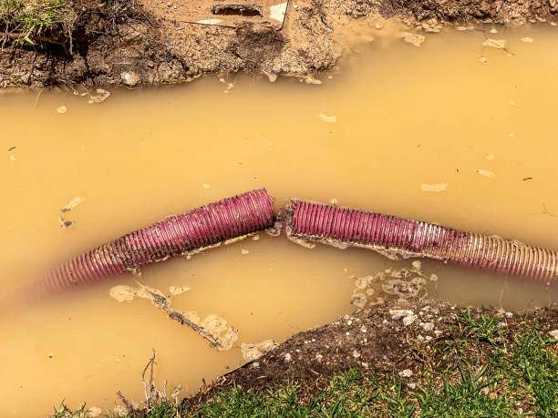 Best Basement water damage restoration  in Kearney, MO